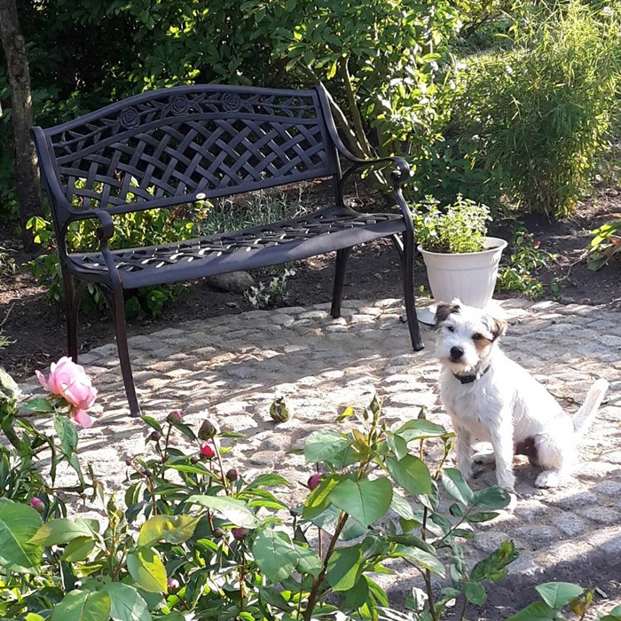 Rose Bench Set - Antique Bronze - Image 10