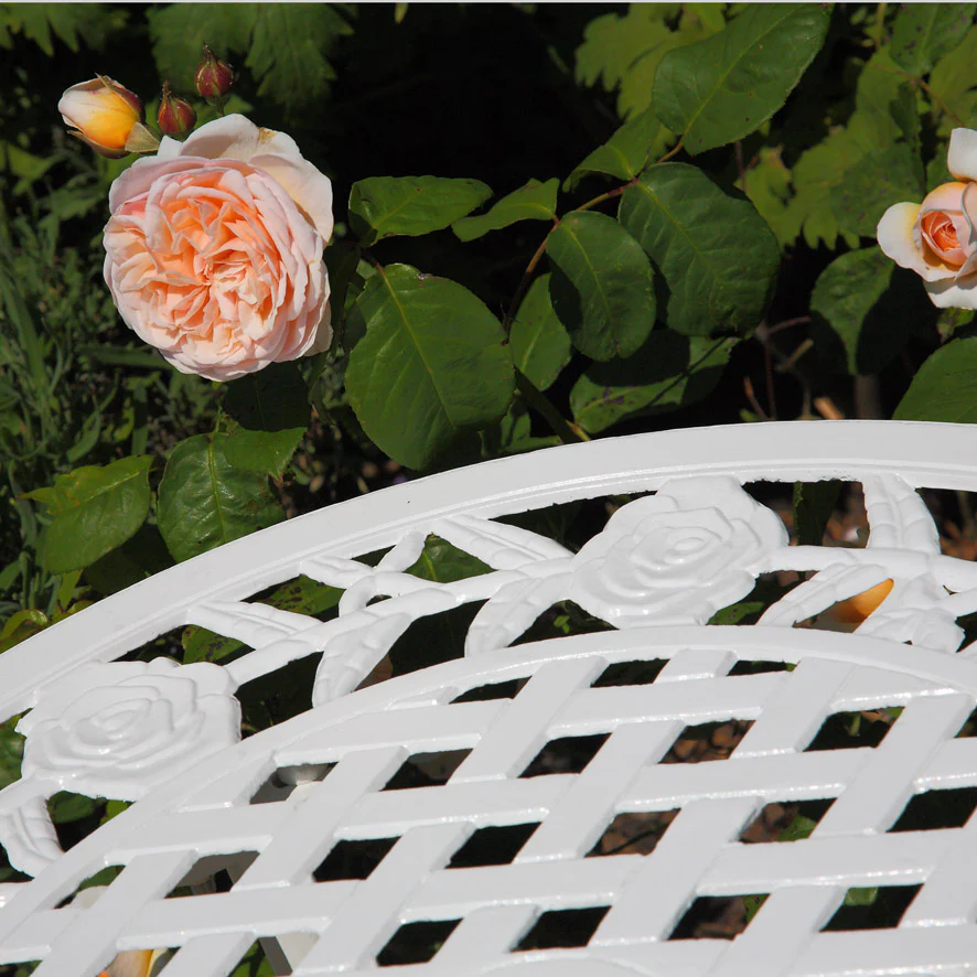 Rose Table 2 Seater Set - White - Image 8