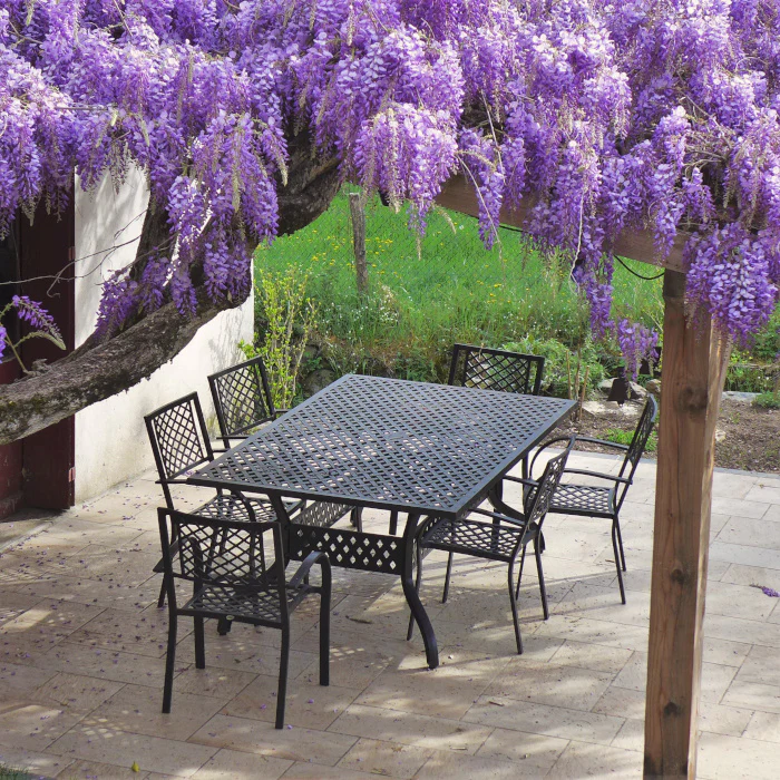 Sophia Table 6 Seater Set - Antique Bronze - Image 3